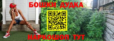 спиды Малгобек