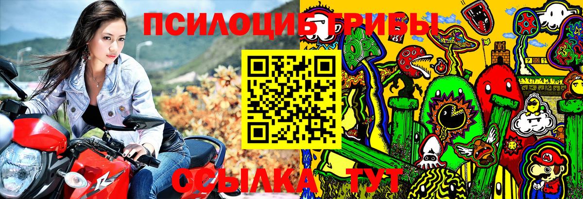Галлюциногенные грибы Psilocybine cubensis Дубна