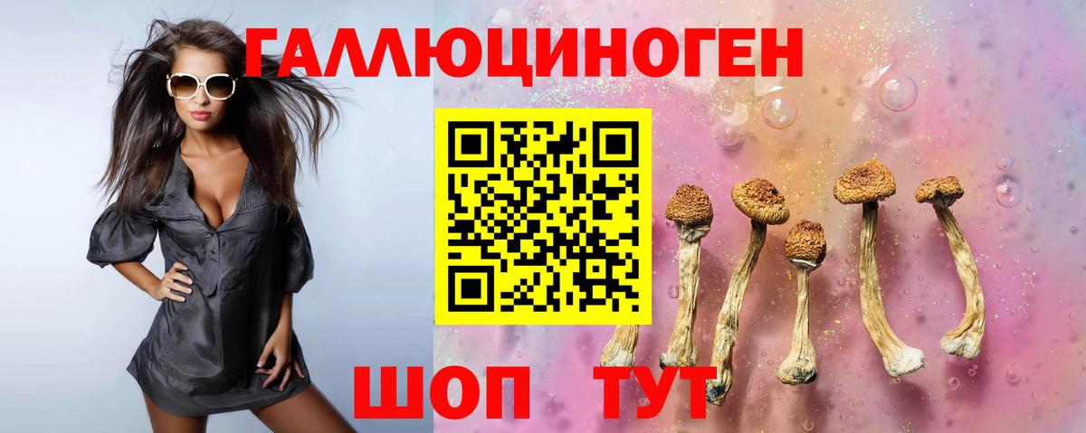 Галлюциногенные грибы прущие грибы  Вход с VPN  Дубна  Псилоцибиновые грибы MAGIC MUSHROOMS 